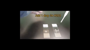 #catalase test#biochemical test#microbiology