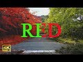 Paint It, Red 【赤くぬれ!】