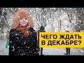 Чего ждать украинцам в декабре?