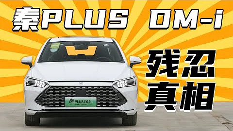 新晋销量王比亚迪秦PLUS DM i，何以成神？ - 天天要闻