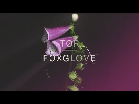Video: Foxglove բրդյա