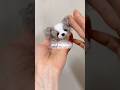 モールで作ったうちの愛犬　pipe cleaner dog handmade