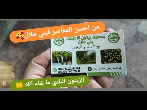موسم الزيتون معصرة الأطلس بني ملال الزيتون البلدي الجودة و الإتقان و المذاق يا سلام