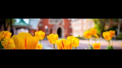 2021 Georgetown University Data Science and Analytics Graduation Image Video Gates_DSAN