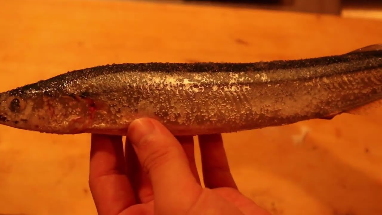 【20歳一人暮らしの台所】サンマを焼く/料理/夜ごはん　#３