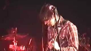 Watch Ryan Adams Tina Toledos Street Walkin Blues video