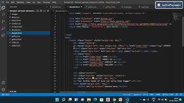 The Sparks Foundation Internship Program | Payment Gateway Integration |