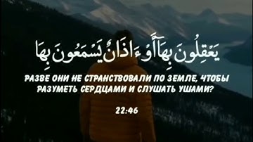 ولكن تعمى القلوب التي في الصدور 💔😭 حالات واتساب للقارئ طارق محمد