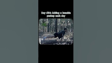 Day #34: Adding a knuckle pushup each day