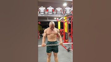"Bicep Anatomy Explained: Target Long Head, Short Head & Brachialis!"#shorts #fitness #motivation