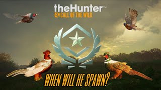 LETS GRIND PHEASANTS&amp;TALK ABOUT THE NEW GREAT ONE! 406 KILLS IN TO #2 | The Hunter Call of the Wild