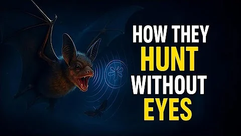How Bats Hunt Without Eyes 👀🦇 | Inside a Bat’s Mind | UNBELIEVABLE