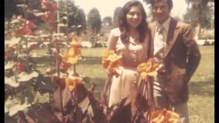 Download Lagu Segara MP3