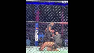 Special moment for Khabib after beating Justin Gaethje