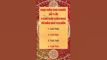Trời Định Giàu Sang! Top 4 Con Giáp Phát Tài Bất Ngờ Trong 72 Giờ Tới | Phong Thủy Mai Bùi