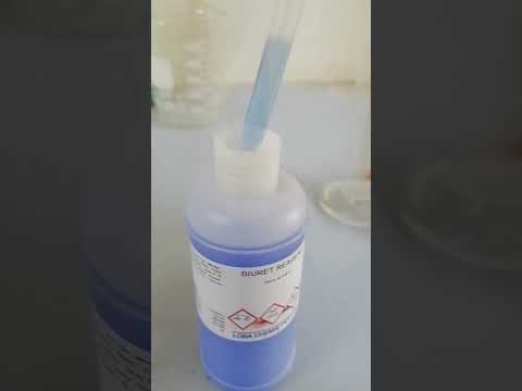 الكشف عن البروتين في الطعام