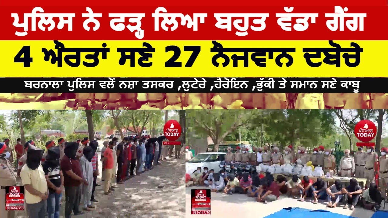 barnala police nabbed drug smugglers ,loot gang | drug smugglers and loot gang bust by police|