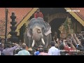 Thirunakkara Pakal Pooram 2018 - Kerala Elephants