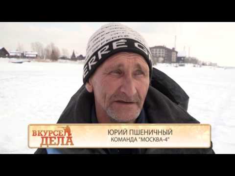 В курсе дела. Выпуск 249