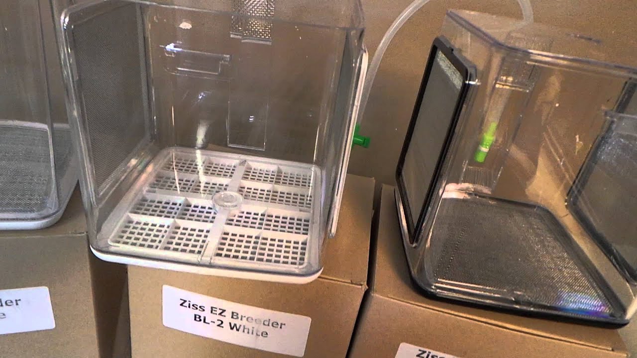 Ziss breeder boxes YouTube