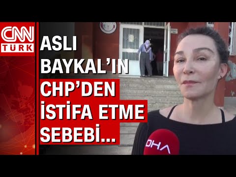 Aslı Baykal'dan CHP'ye çok sert PKK ve Rifkin eleştirisi! \