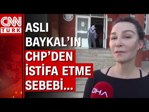 Aslı Baykal'dan CHP'ye çok sert PKK ve Rifkin eleştirisi!