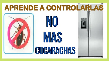 ¿Dónde viven las cucarachas en un frigorífico?