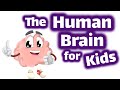 Unlocking the Mysteries of the Human Brain