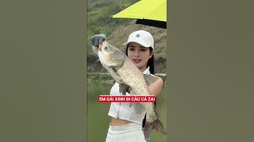Em gái xinh quá câu cá cứ như câu zai #fishing #fish #discovery #girl #cauca