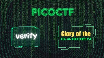 PicoCTF ‘Verify’ & ‘Glory of the Garden’ | Forensics Walkthrough