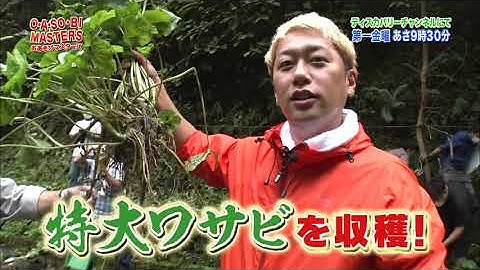 おあそびマスターズ「わさびをマスター」予告
