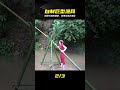 修竹做簡易漁網,拉上來全是驚喜大魚 #捕鱼,自制渔网,山野生活,意外收获,大鱼