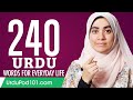 240 urdu words for everyday life  basic vocabulary 12