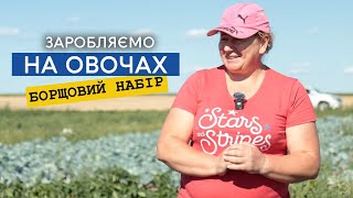 картинка: Кавуни, борщовий набір — чудова можливість заробити дрібному фермеру. Що найприбутковіше цього року?