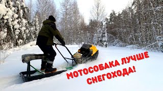 Мощный мотобуксировщик - пробили путик в тайге \ Шалаш в тайге