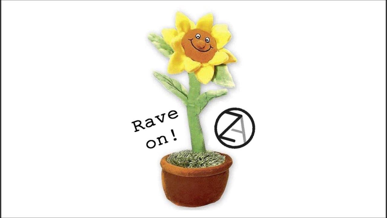 Zauberakustik Rave on! (feat. Blumentopf) YouTube