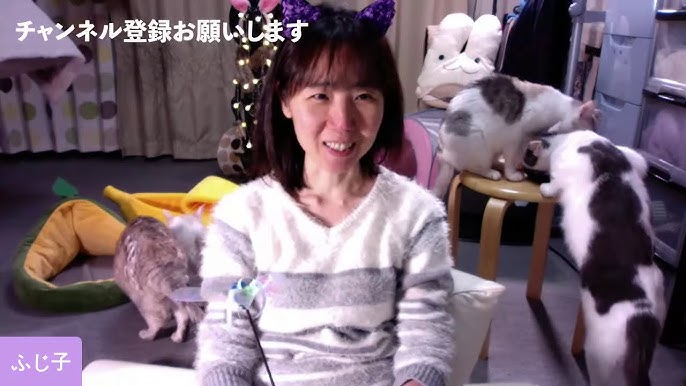 おもしろ可愛い 多頭飼い猫マンガ ４コマ劇場版vol 22 Cat Cartoon Youtube