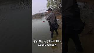 신창저수지 영상
