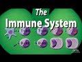 The Immune System Overview, Animation