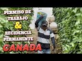 PERMISO DE TRABAJO Y RESIDENCIA - PROGRAMA PILOTO DE AGRICULTURA EN CANADA