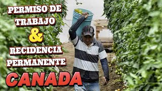 PERMISO DE TRABAJO Y RESIDENCIA - PROGRAMA PILOTO DE AGRICULTURA EN CANADA