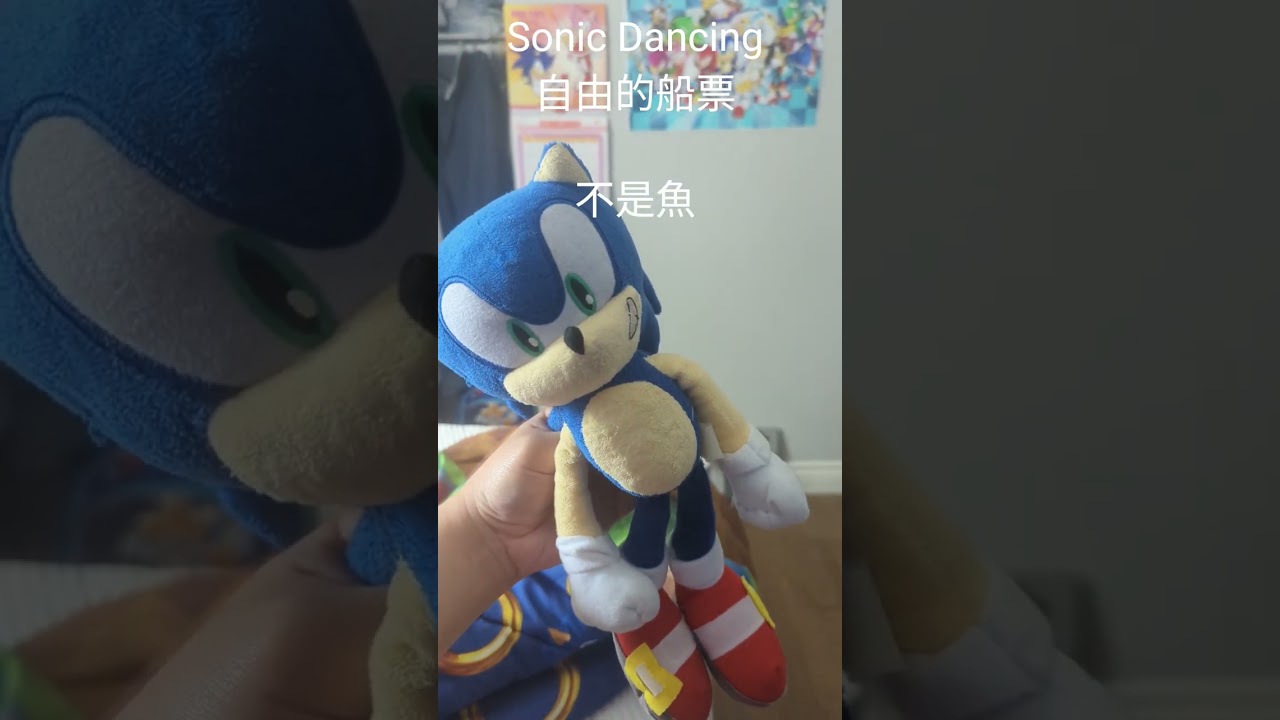 Sonic Dancing 自由的船票