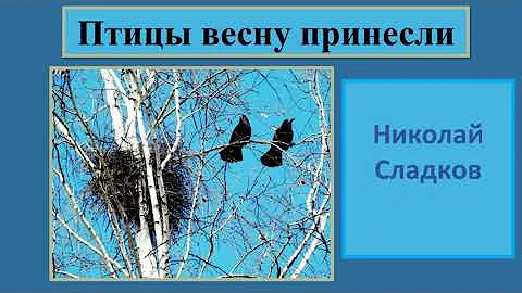 Николай Сладков 