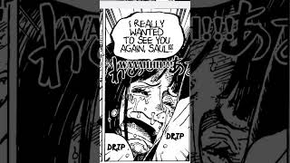 Robin And Saul Reunion. One Piece Chapter 1133