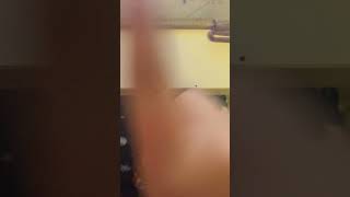 IMG 1158