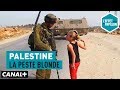 Palestine : La peste blonde - L’Effet Papillon