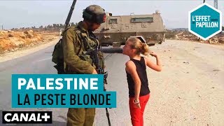 Palestine : La peste blonde - L’Effet Papillon – CANAL+