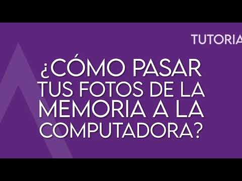 Video: ¿Cómo descargo de la tarjeta SD a la computadora portátil?