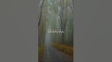 حالات واتس اب بصوت اسلام صبحي / تلاوة خاشعة ( اللَّهُ يَبْسُطُ الرِّزْقَ لِمَنْ يَشَاءُ )