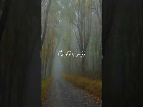 حالات واتس اب بصوت اسلام صبحي تلاوة خاشعة الل ه ي ب س ط الر ز ق ل م ن ي ش اء